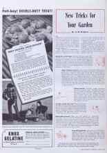Better Homes & Gardens March 1941 Magazine Article: New Tricks for Your Garden