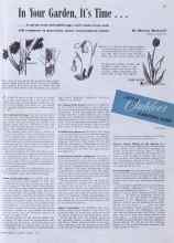 Better Homes & Gardens March 1941 Magazine Article: In Your Garden, It's Time ...