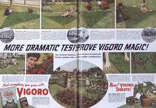 Better Homes & Gardens March 1941 Magazine Article: Page 14