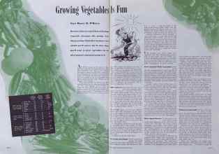 Better Homes & Gardens March 1941 Magazine Article: Growing Vegetables Is Fun