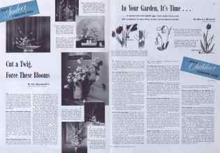 Better Homes & Gardens March 1941 Magazine Article: Page 24