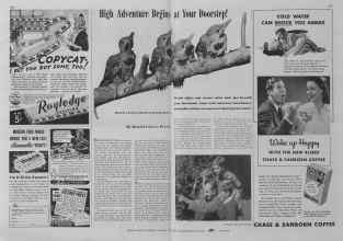 Better Homes & Gardens March 1941 Magazine Article: High Adventure Begins at Your Doorstep!