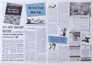 Better Homes & Gardens March 1941 Magazine Article: The Real Truth About Dogs