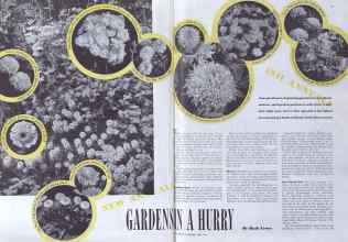 Better Homes & Gardens April 1941 Magazine Article: GARDENS IN A HURRY