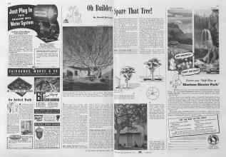 Better Homes & Gardens April 1941 Magazine Article: Oh Builder Spare That Tree!