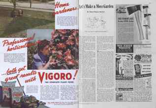 Better Homes & Gardens April 1941 Magazine Article: Page 146