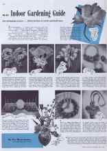 Better Homes & Gardens May 1941 Magazine Article: MAY Indoor Gardening Guide