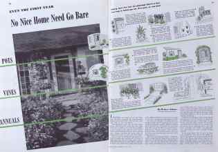 Better Homes & Gardens May 1941 Magazine Article: POTS VINES ANNUALS