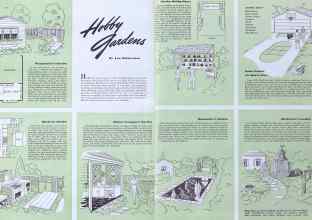 Better Homes & Gardens June 1941 Magazine Article: Hobby Gardens
