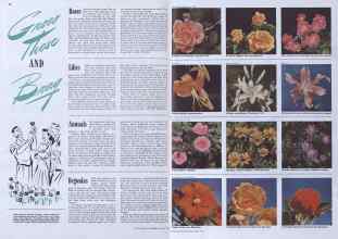Better Homes & Gardens June 1941 Magazine Article: Grow These AND Brag