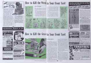 Better Homes & Gardens June 1941 Magazine Article: How to Kill the Weeds in Your Front Yard