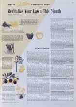 Better Homes & Gardens August 1941 Magazine Article: Revitalize Your Lawn This Month