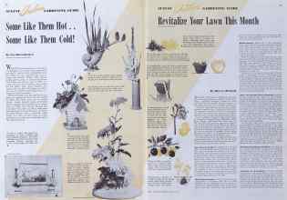 Better Homes & Gardens August 1941 Magazine Article: Page 22