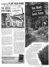 Better Homes & Gardens September 1941 Magazine Article: Too Shady FOR FLOWERS? Grow Ferns