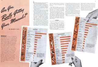 Better Homes & Gardens September 1941 Magazine Article: Page 44