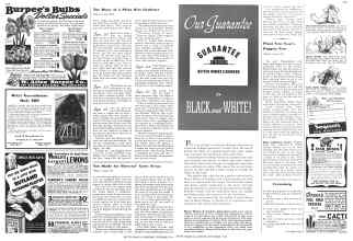 Better Homes & Gardens September 1941 Magazine Article: Page 102