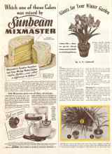 Better Homes & Gardens October 1941 Magazine Article: Giants for Your Winter Garden