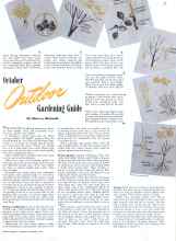 Better Homes & Gardens October 1941 Magazine Article: October Outdoor Gardening Guide