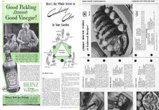 Better Homes & Gardens October 1941 Magazine Article: Page 50