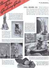 Better Homes & Gardens November 1941 Magazine Article: November Indoor Gardening Guide