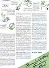 Better Homes & Gardens November 1941 Magazine Article: new growth of apple trees ripens rather later and the trees will be freshly dug. Most nurseries dig all of their fruit trees in the fall and store them over winter, so the trees you buy in the spring are stored trees. Select trees for straight stems, long growth, and a fibrous root system. Trees with