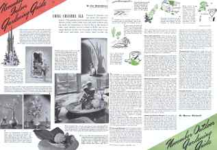 Better Homes & Gardens November 1941 Magazine Article: Page 28