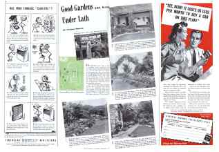 Better Homes & Gardens November 1941 Magazine Article: Good Gardens ARE MADE Under lath