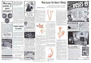 Better Homes & Gardens November 1941 Magazine Article: These Plants Do Queer Things