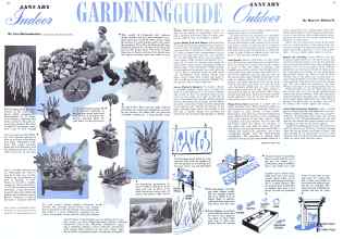 Better Homes & Gardens January 1942 Magazine Article: Indoor GARDENING GUIDE Outdoor