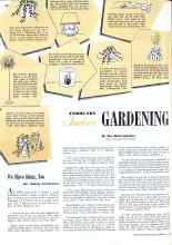 Better Homes & Gardens February 1942 Magazine Article: Indoor GARDENING