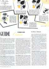 Better Homes & Gardens February 1942 Magazine Article: GUIDE Outdoor