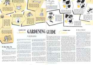 Better Homes & Gardens February 1942 Magazine Article: Page 20