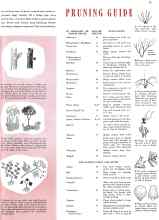 Better Homes & Gardens March 1942 Magazine Article: PRUNING GUIDE