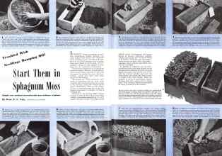 Better Homes & Gardens March 1942 Magazine Article: Start Them in Sphagnum Moss