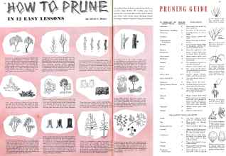 Better Homes & Gardens March 1942 Magazine Article: Page 20