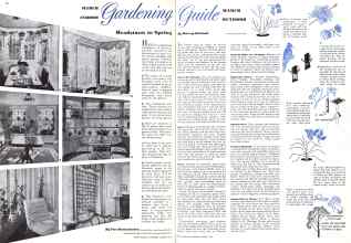 Better Homes & Gardens March 1942 Magazine Article: MARCH INDOOR Gardening Guide