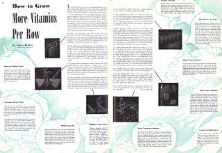 Better Homes & Gardens April 1942 Magazine Article: How to Grow More Vitamins Per Row
