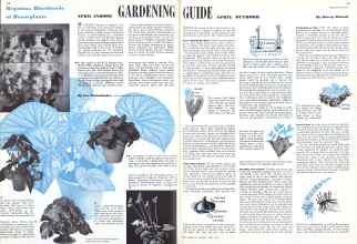 Better Homes & Gardens April 1942 Magazine Article: APRIL INDOOR GARDENING GUIDE APRIL OUTDOOR
