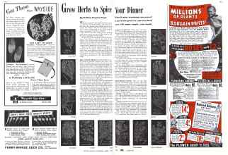 Better Homes & Gardens April 1942 Magazine Article: Grow Herbs to Spice Your Dinner