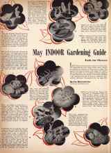 Better Homes & Gardens May 1942 Magazine Article: May INDOOR Gardening Guide