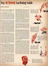 Better Homes & Gardens May 1942 Magazine Article: May OUTDOOR Gardening Guide