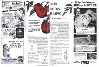 Better Homes & Gardens from 1942 | Anyone Can Grow TOMATOES