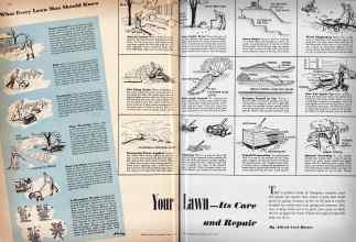 Better Homes & Gardens May 1942 Magazine Article: Your Lawn--Its Care and Repair