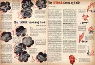 Better Homes & Gardens May 1942 Magazine Article: Page 24