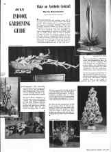Better Homes & Gardens July 1942 Magazine Article: INDOOR GARDENING GUIDE