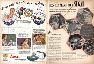 Better Homes & Gardens July 1942 Magazine Article: Page 16