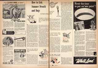 Better Homes & Gardens July 1942 Magazine Article: How to Lick Summer Drouth and Bugs