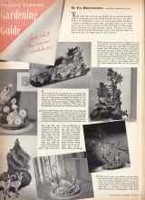 Better Homes & Gardens August 1942 Magazine Article: AUGUST INDOOR Gardening Guide