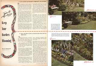 Better Homes & Gardens August 1942 Magazine Article: Keep Your Borders Blooming