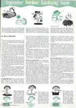 Better Homes & Gardens September 1942 Magazine Article: September Outdoor Gardening Guide